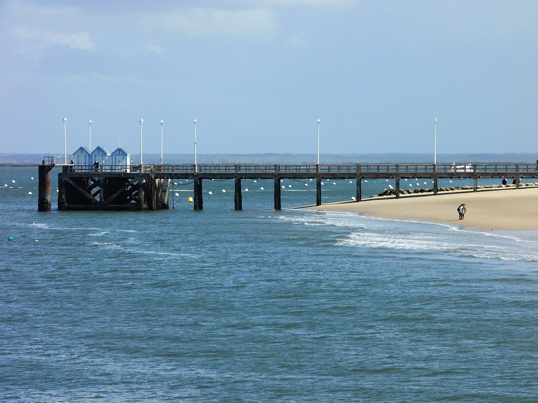 Le bassin d'Arcachon