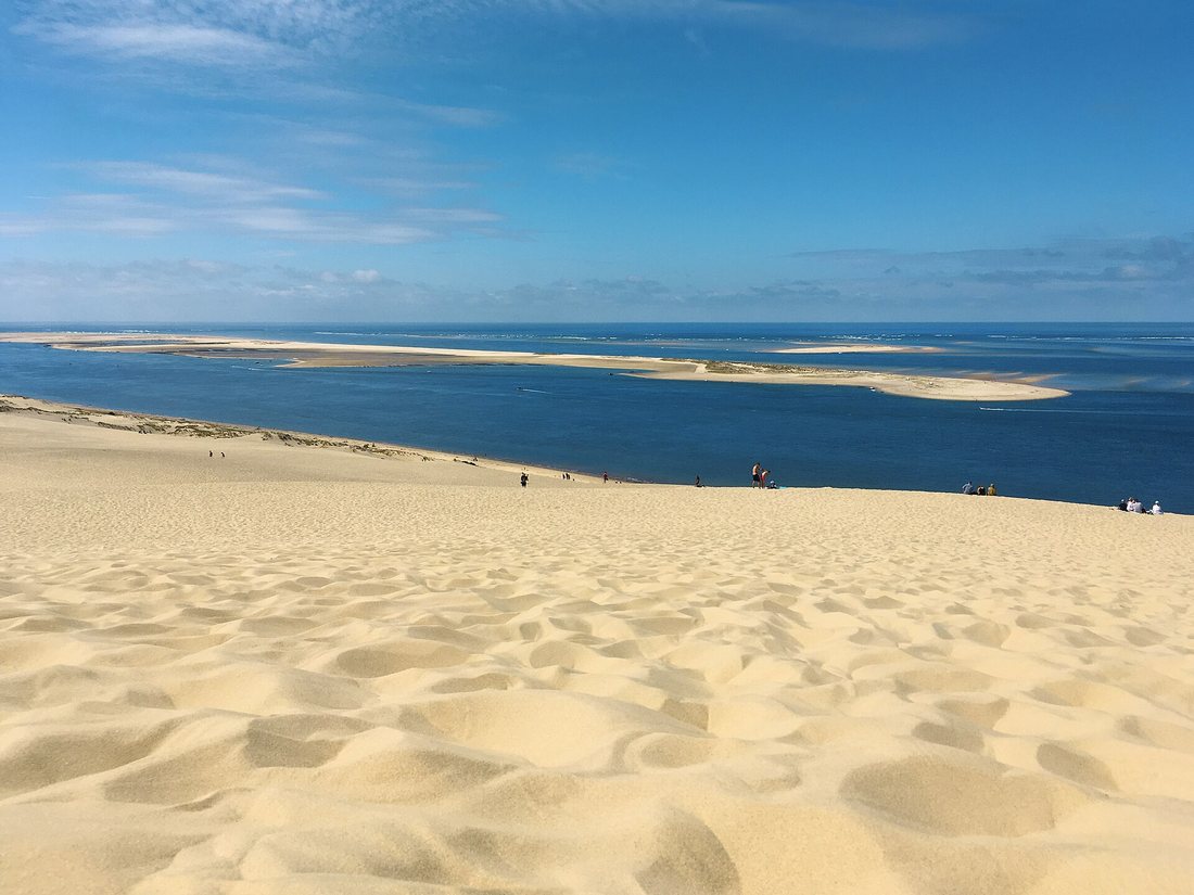 Le banc d'Arguin